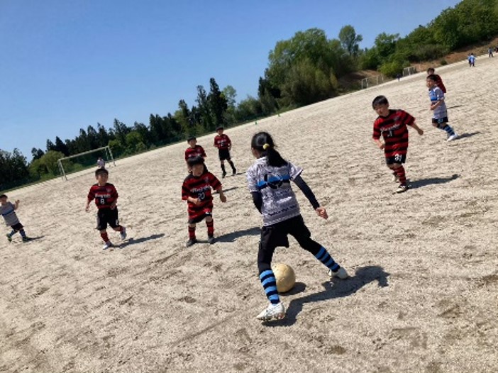 スライドショーの写真